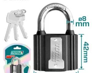 Iron padlock
